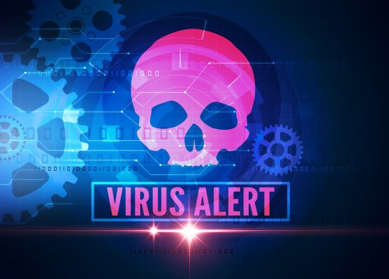 virus software virus alert pink skull 
